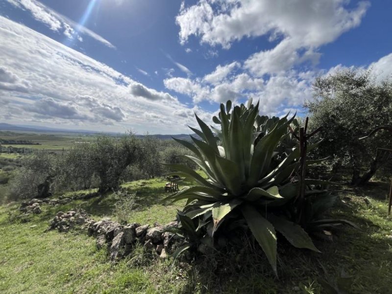 Giuncarico Traumhaftes toskanisches Landhaus Haus kaufen