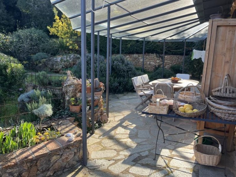 Massa Marittima Landhaus mit Pool in Toplage Haus kaufen