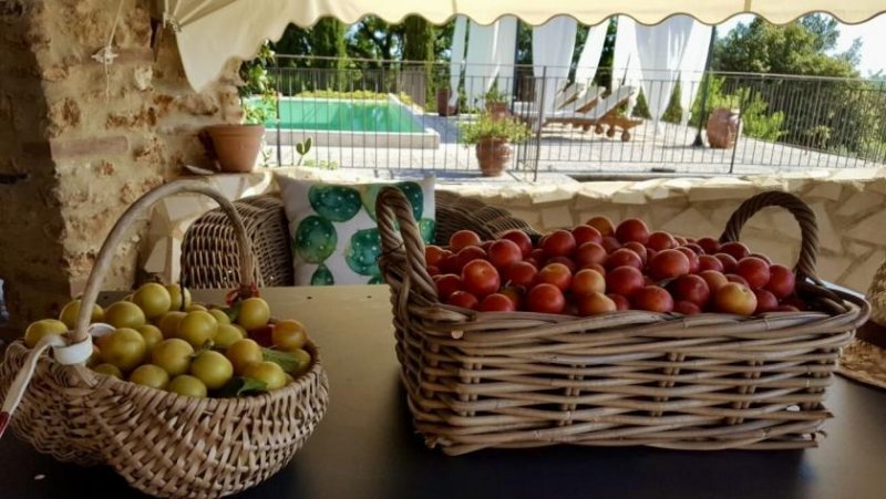 Massa Marittima Landhaus mit Pool in Toplage Haus kaufen