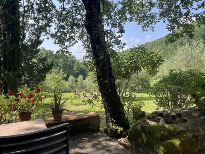 Sassofortino Magischer Rückzugsort im Herzen der Maremma mit Wasserfall, Wald und Stille Haus kaufen