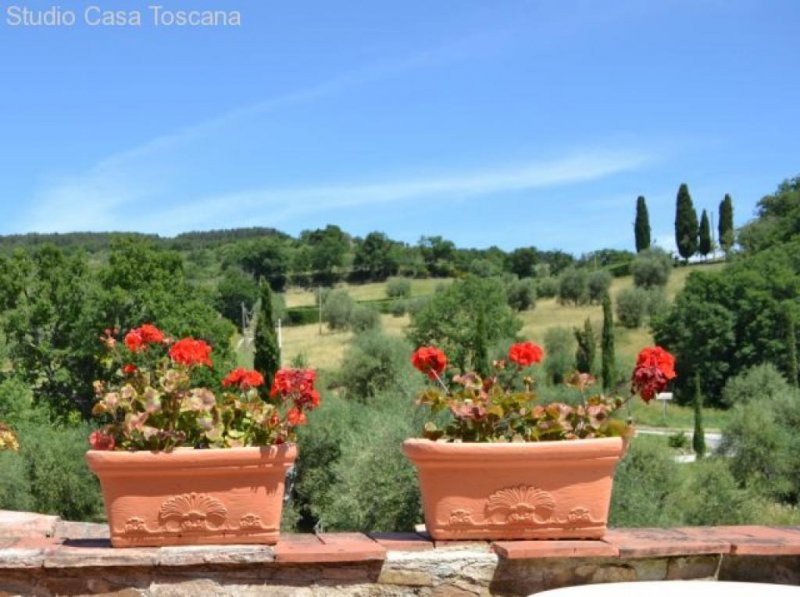 Seggiano Landwirtschaftliches Anwesen mit Weinberg, Olivenhain und Agriturismus Haus kaufen