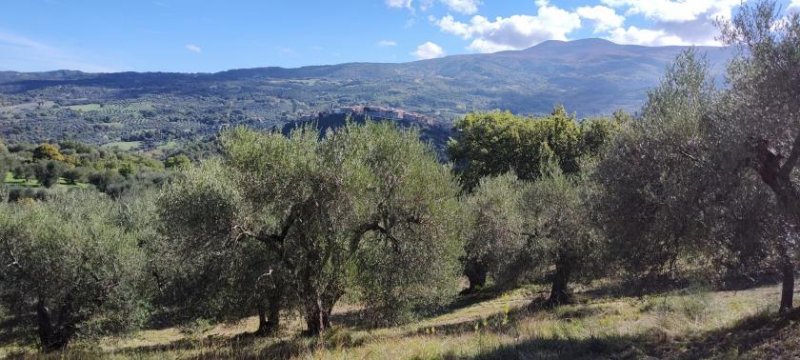 seggiano TERRENO SEGGIANO Grundstück kaufen