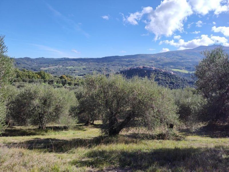 seggiano TERRENO SEGGIANO Grundstück kaufen