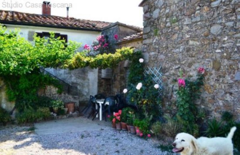 Massa Marittima Antikes Bauernhaus aus dem Florentiner Adel mit schöner Aussicht Haus kaufen