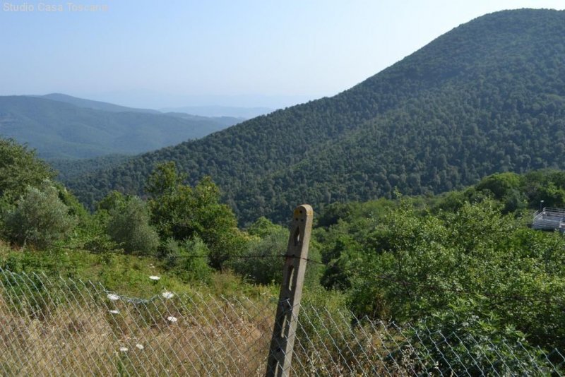 Tirli Appartement mit Keller und Grund Wohnung kaufen