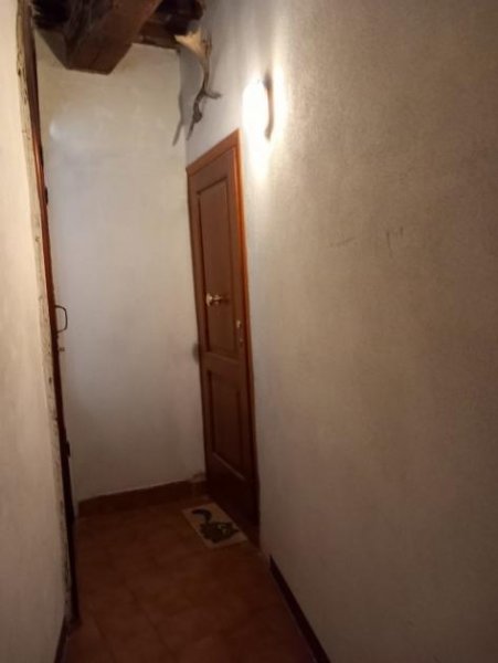 CIVITELLA PAGANICO Wohnung kaufen