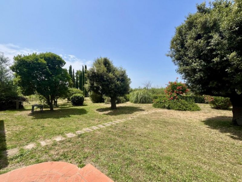 Braccagni Hochwertiges Landhaus mit zwei Wohnungen, Garten und Land Haus kaufen