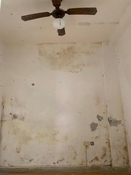 grosseto Gewerbe kaufen