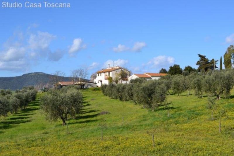 Istia d'Ombrone Landhaus mit 5 Nebengebäuden (tot. 452 m²) und 15 ha in bezaubernder Lage 10 km von Grosseto Haus kaufen