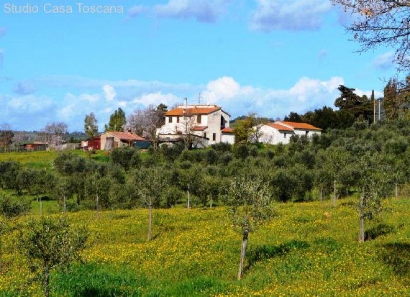 Istia d'Ombrone Landhaus mit 5 Nebengebäuden (tot. 452 m²) und 15 ha in bezaubernder Lage 10 km von Grosseto Haus kaufen
