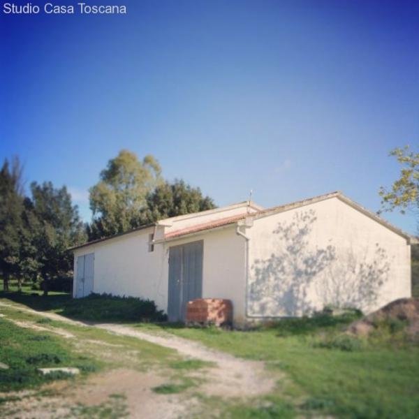 Istia d'Ombrone Landhaus mit 5 Nebengebäuden (tot. 452 m²) und 15 ha in bezaubernder Lage 10 km von Grosseto Haus kaufen