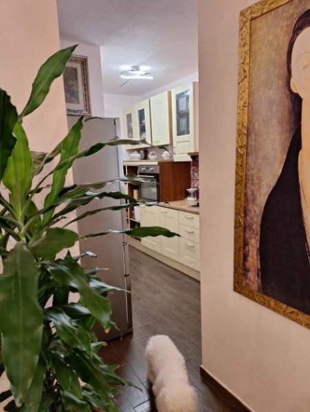 PIZZETTI GROSSETO ZONA PIZZETTI Wohnung kaufen