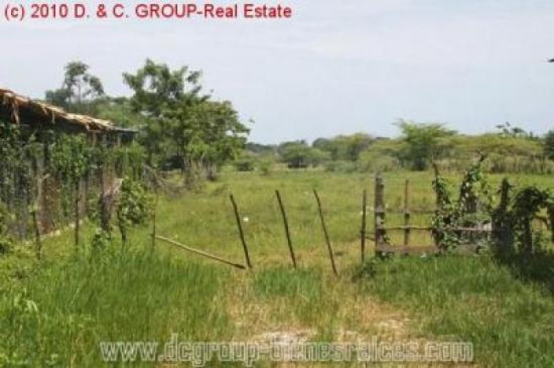 Sosua Großgrundbesitz für Urbanisation! Grundstück kaufen