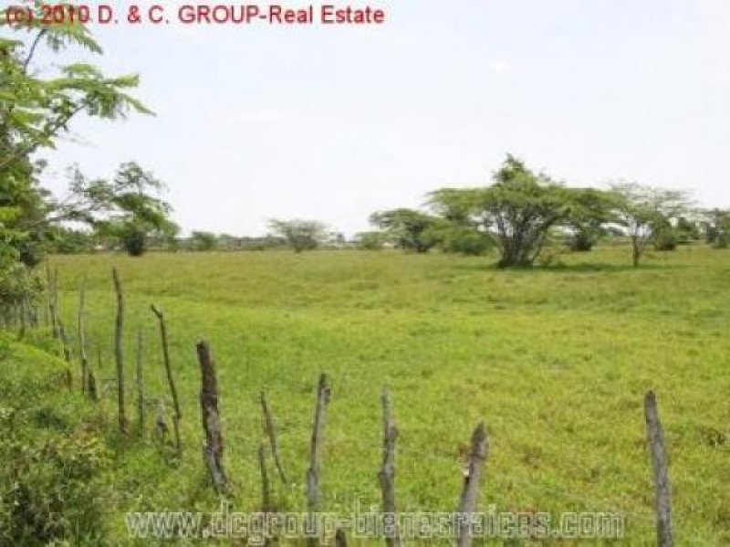 Sosua Großgrundbesitz für Urbanisation! Grundstück kaufen