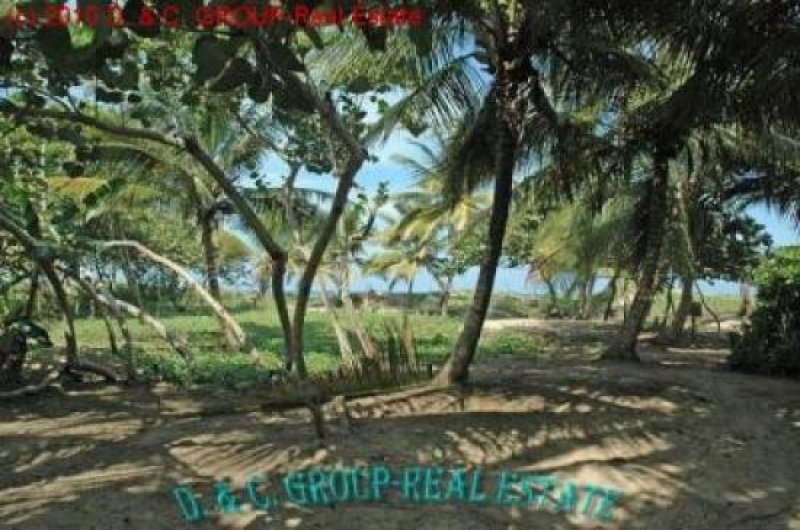Cabarete Grundstück am Strand Grundstück kaufen