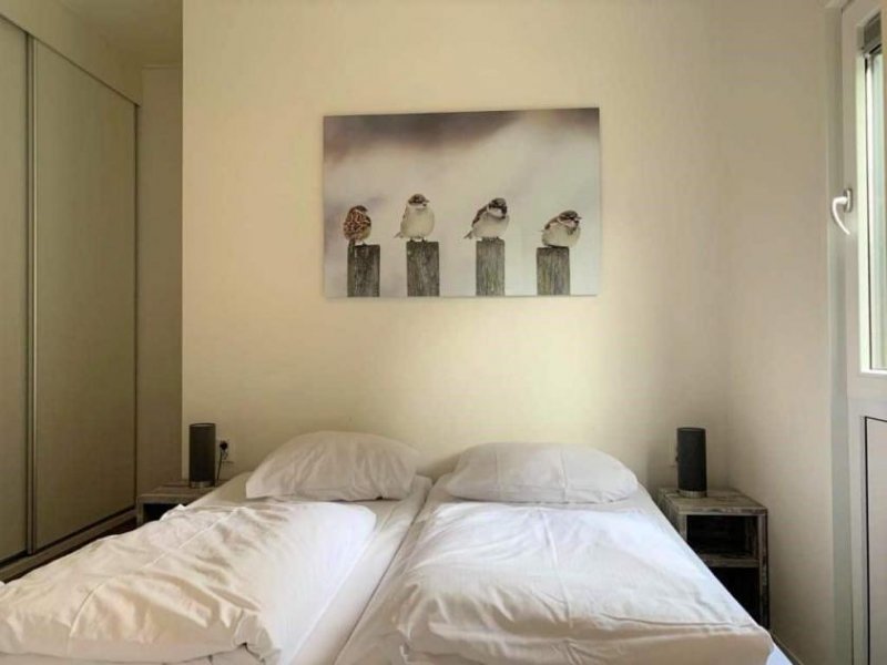 NS Belfeld EuroParcs Maasduinen Haus kaufen