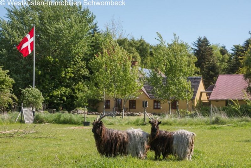 Marstal Wunderschönes Resthof auf der Insel Ærø in Dänemark! Haus kaufen