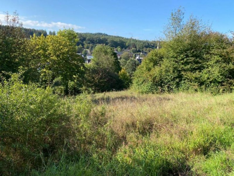 Sundern (Sauerland) Wohnanlage mit Potential, 45 Wohnungen, Nähe Sorpesee /Sauerland Gewerbe kaufen