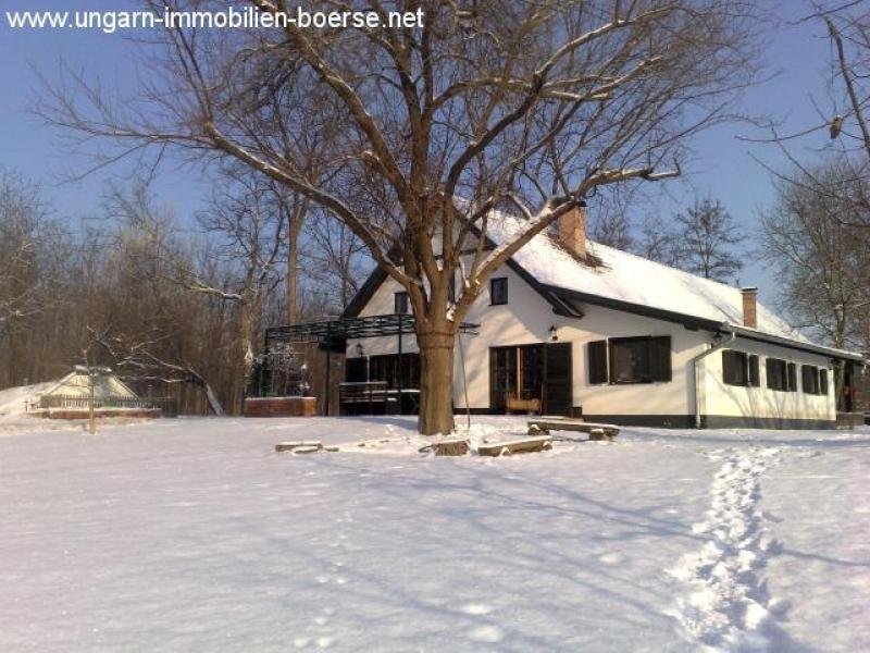 Kikunmajsa Für Lebensgeniesser: rustikale Villa mit Grundstück im Wald Haus kaufen