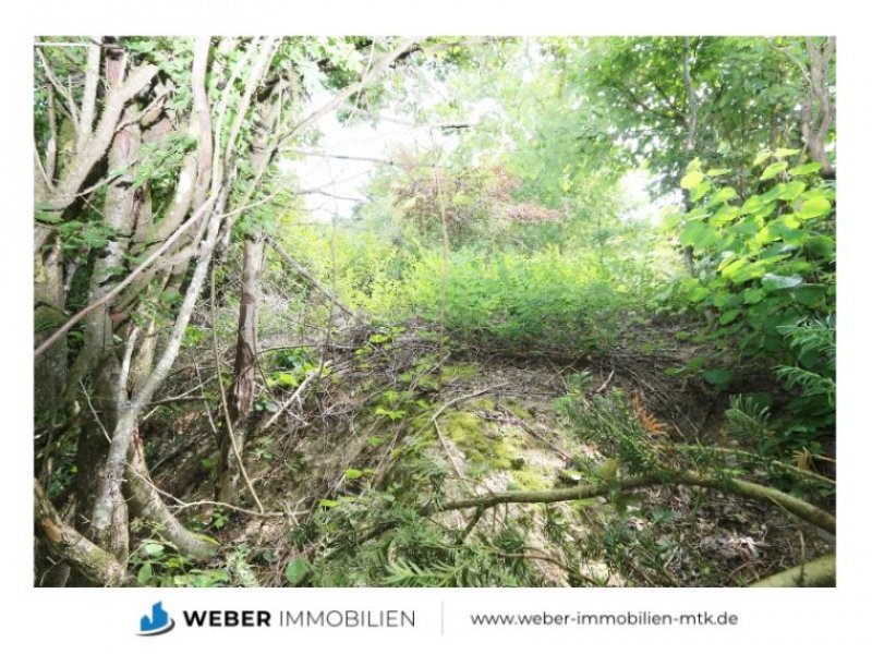 Glashütten * Abrissgrundstück * bis zu 280 qm möglich als 1-2 FH * GENEHMIGTE Bauvoranfrage Grundstück kaufen