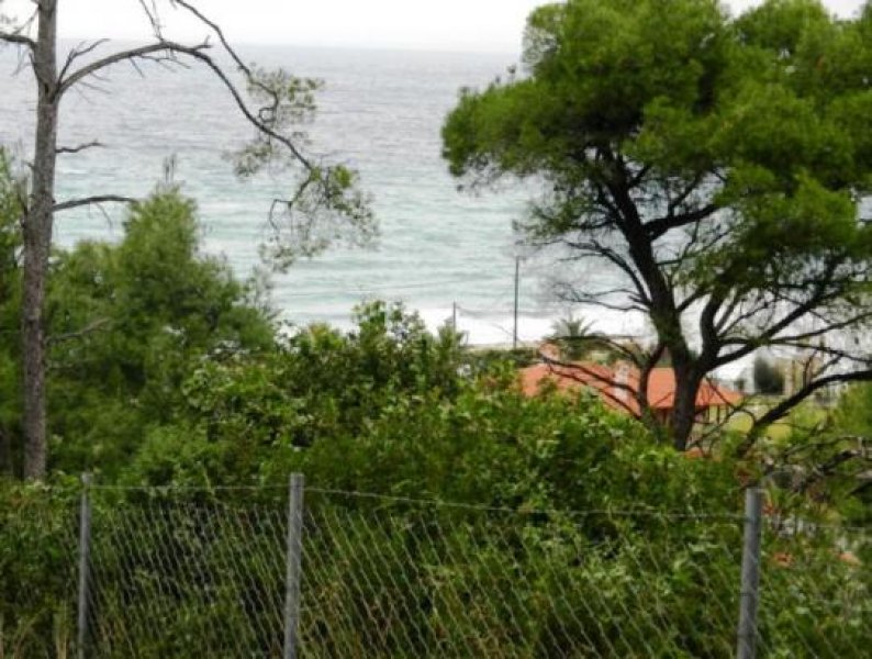 Chalkidiki - Poseidi Einmaliges Grundstueck mit 16.000 qm neben am Meer Grundstück kaufen