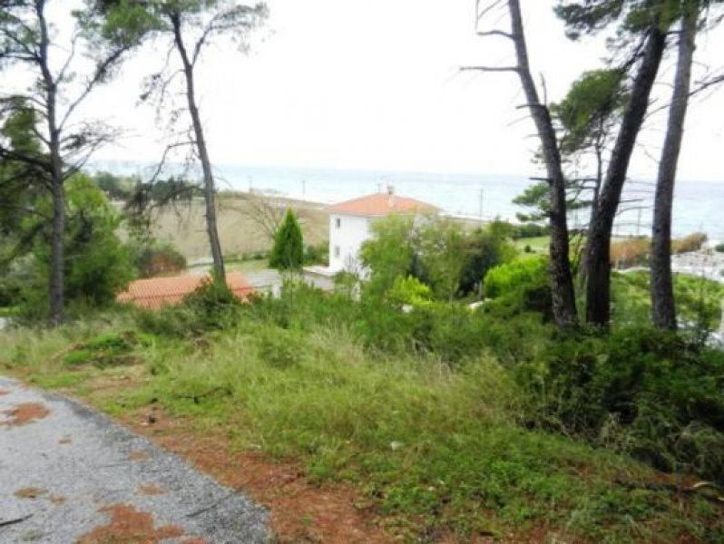 Chalkidiki - Poseidi Einmaliges Grundstueck mit 16.000 qm neben am Meer Grundstück kaufen