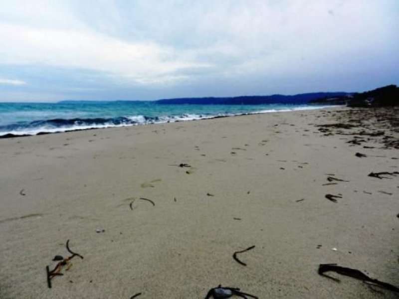 Chalkidiki - Poseidi Einmaliges Grundstueck mit 16.000 qm neben am Meer Grundstück kaufen