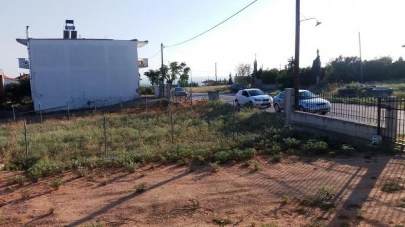 Nea Triglia Chalkidiki Sonderangebot :Ferienhaus Baujahr 2016 mit 80 qm Wohnfläche . Haus kaufen