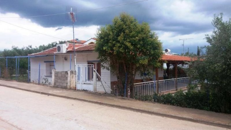 Nea Triglia Chalkidiki Superpreis : Ferienhaus mit 81 qm Wohnfläche und 440 qm Grundstück in Nea Triglia Chalkidiki Haus kaufen