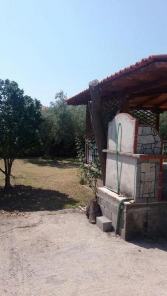 Nea Triglia Chalkidiki Superpreis : Ferienhaus mit 81 qm Wohnfläche und 440 qm Grundstück in Nea Triglia Chalkidiki Haus kaufen