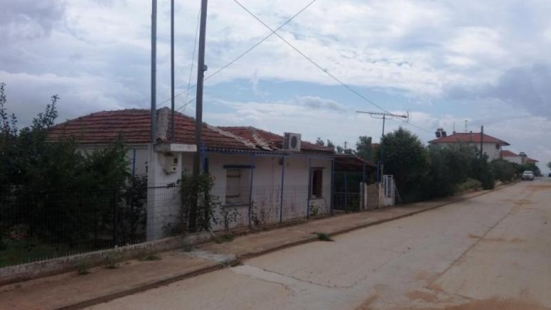 Nea Triglia Chalkidiki Superpreis : Ferienhaus mit 81 qm Wohnfläche und 440 qm Grundstück in Nea Triglia Chalkidiki Haus kaufen