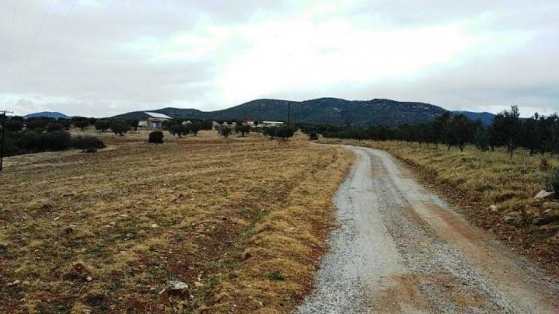 Polugyros Chalkidiki Wunder schönes Grundstück mit einmalige Blick aufs Meer in Chalkidike Raum Polugyros Grundstück kaufen