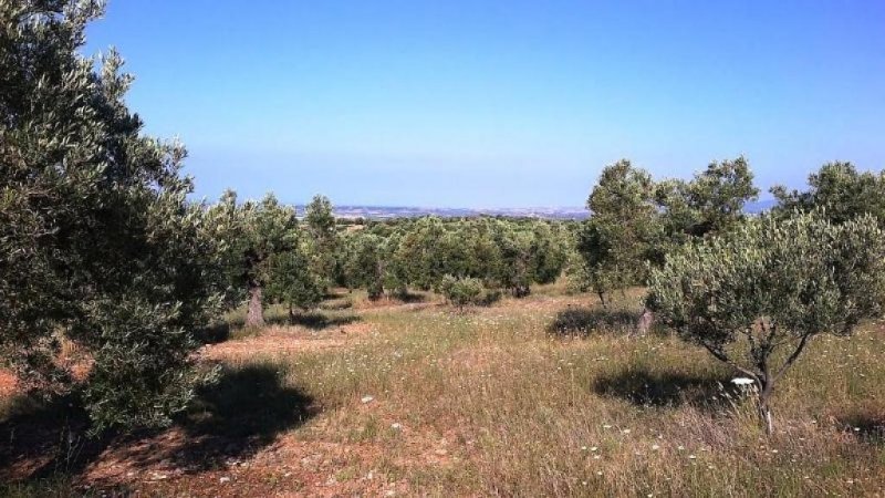 Polugyros Chalkidiki Wunder schönes Grundstück mit einmalige Blick aufs Meer in Chalkidike Raum Polugyros Grundstück kaufen