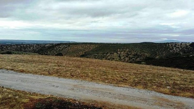 Polugyros Chalkidiki Wunder schönes Grundstück mit einmalige Blick aufs Meer in Chalkidike Raum Polugyros Grundstück kaufen