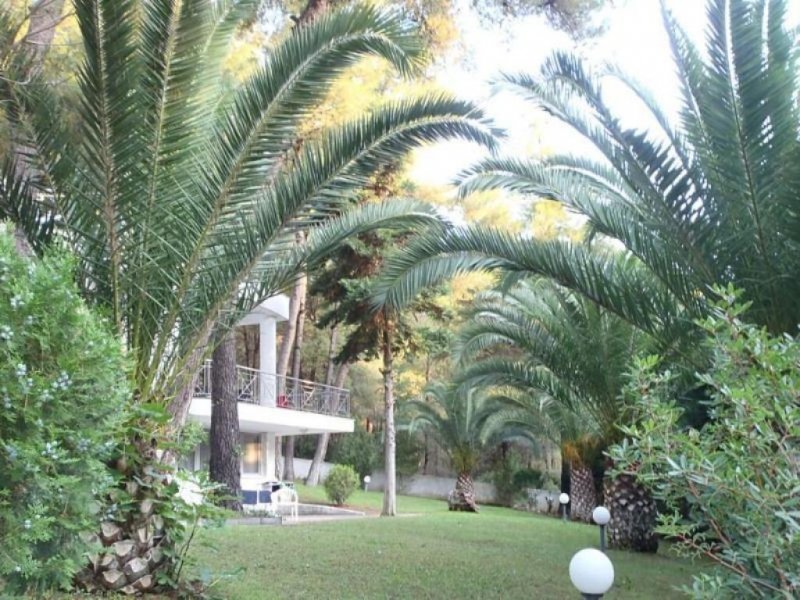 Sani Chalkidiki 250 qm Luxus Villa zu Verkaufen in Chalkidike Sani Haus kaufen