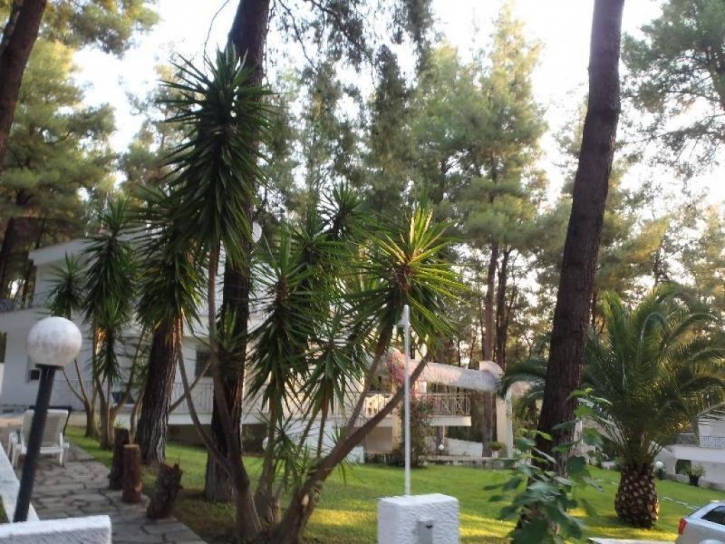 Sani Chalkidiki 250 qm Luxus Villa zu Verkaufen in Chalkidike Sani Haus kaufen