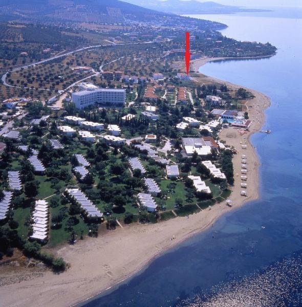 Gerakini - Chalkidiki Wunderschöne Maisonette 80 Meter entfernt vom Strand Haus kaufen