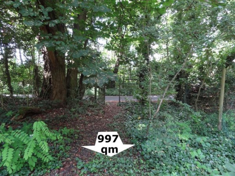 Mühlheim am Main Privates Grundstück mit See in Mühlheim am Main Grundstück kaufen