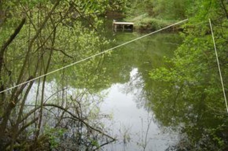 Mühlheim am Main Privates Grundstück mit See in Mühlheim am Main Grundstück kaufen