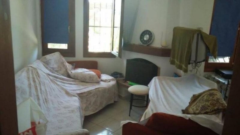 Nea Flogita Chalkidiki Wunderschönes Zwei FerienMaisonetten in Nea Flogita Chalkidiki mit 76 qm jedes Haus und 4.500 qm Grundstück Haus kaufen