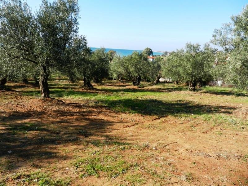 Nea Moudania Einmaliges Grundstück vor dem Strand bei Chalkidike Nea Moudania mit 22.000 qm grundstücksfläche Grundstück kaufen