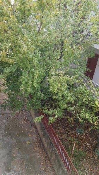 Nea Plagia Chalkidiki Einmaliger Preis 39.000 Euro ohne Verhandlungen Ferienwohnung in Nea Plagia Chalkidiki Wohnung kaufen