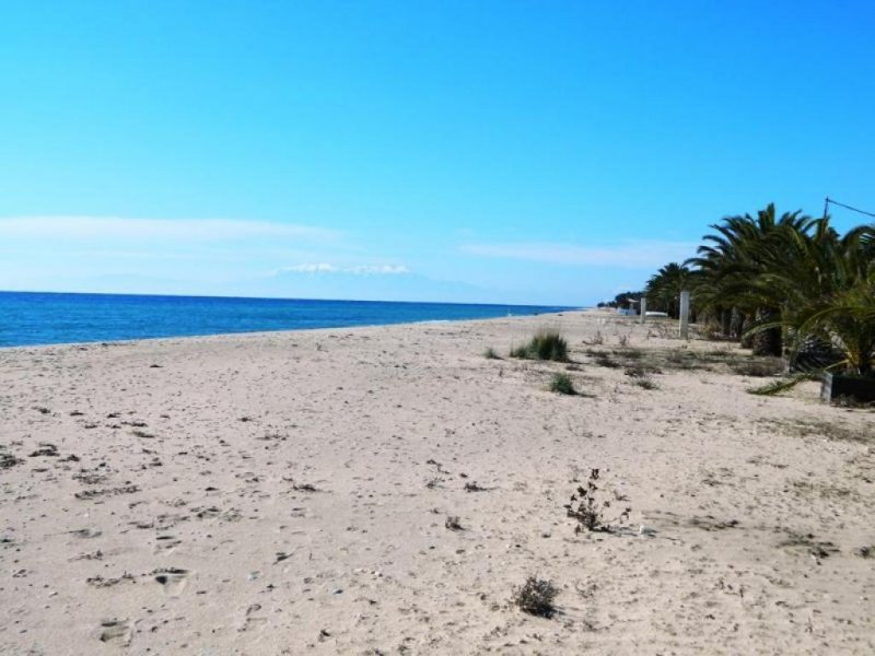 Nea Plagia Chalkidiki Einmaliger Preis 39.000 Euro ohne Verhandlungen Ferienwohnung in Nea Plagia Chalkidiki Wohnung kaufen