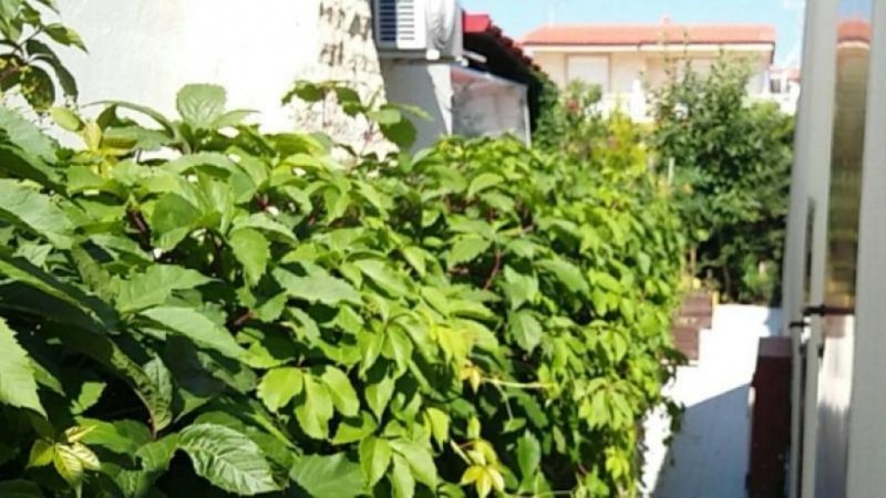 Nea Plagia Chalkidiki Super Luxus Ferienhaus voll möbliert , Baujahr 2011 in Nea Plagia Chalkidiki Haus kaufen