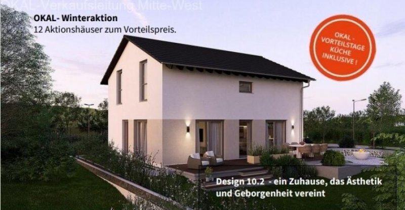 Ronneburg (Main-Kinzig-Kreis) 1 von 4 Aktionshäusern auf vorhandenem Grundstück Haus kaufen