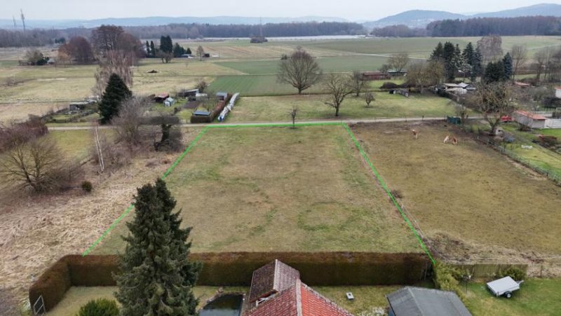 Hasselroth DIETZ: XXL 3 Familienhaus mit 3 Garagen - Ruhige Feldrandlage inkl. angrenzendem Wiesengrundstück! Haus kaufen