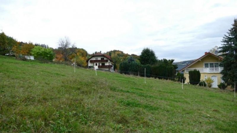 Wächtersbach *OKAL EFH* mit KELLER, Küche inkl. 676m² GRUNDSTÜCK mit Blick, KfW 40, PROVISIONSFREI WÄCHTERBACH-H. Haus kaufen