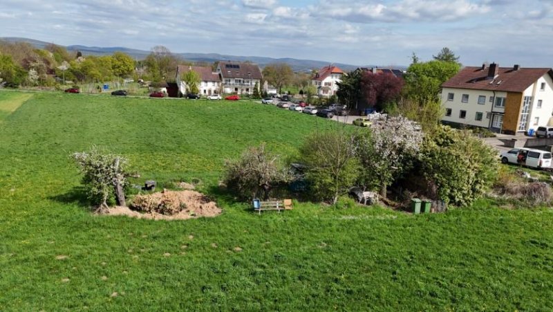 Großostheim DIETZ: Feldrandlagen-Baugrundstück für 1-2 Familienhaus in Großostheim zu verkaufen! Grundstück kaufen