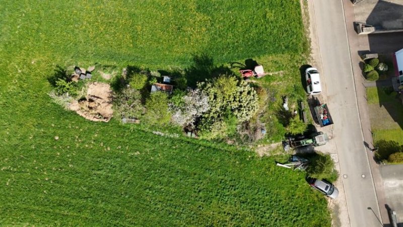 Großostheim DIETZ: Feldrandlagen-Baugrundstück für 1-2 Familienhaus in Großostheim zu verkaufen! Grundstück kaufen