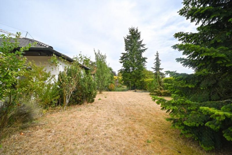 Großostheim DIETZ: Gepflegter Bungalow in direkter Feldrandlage mit Keller, Garage und viel Platz in Ringheim! Haus kaufen